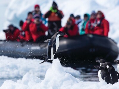南极充气艇海上遊