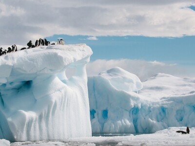 남극의 자연