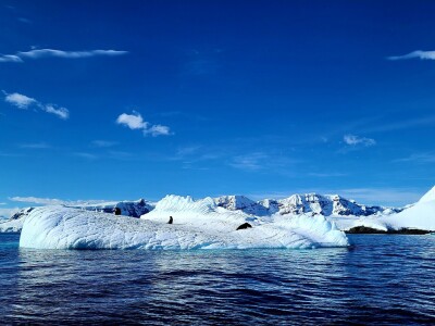 남극의 자연